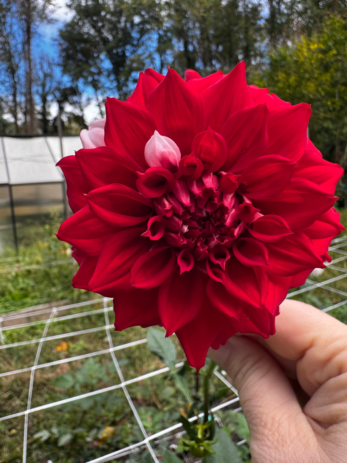 Rivers fancy Santa