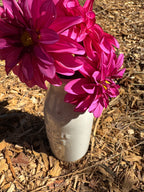 Sandia Brocade