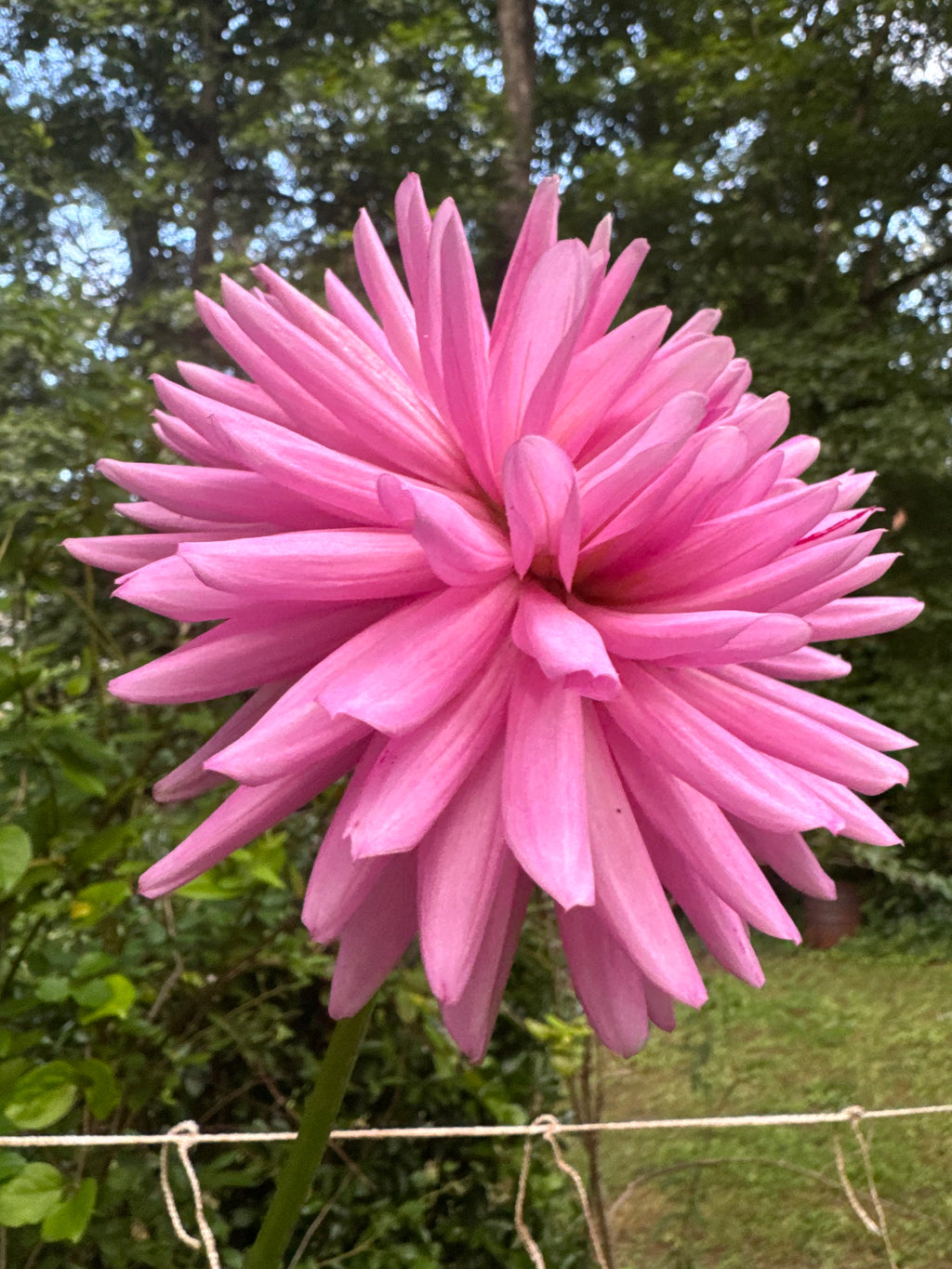 Sandia Barbie Sporty